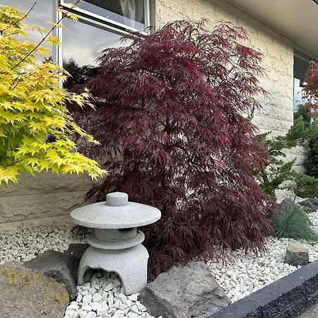 The Airport Homestay House Christchurch Exteriér fotografie