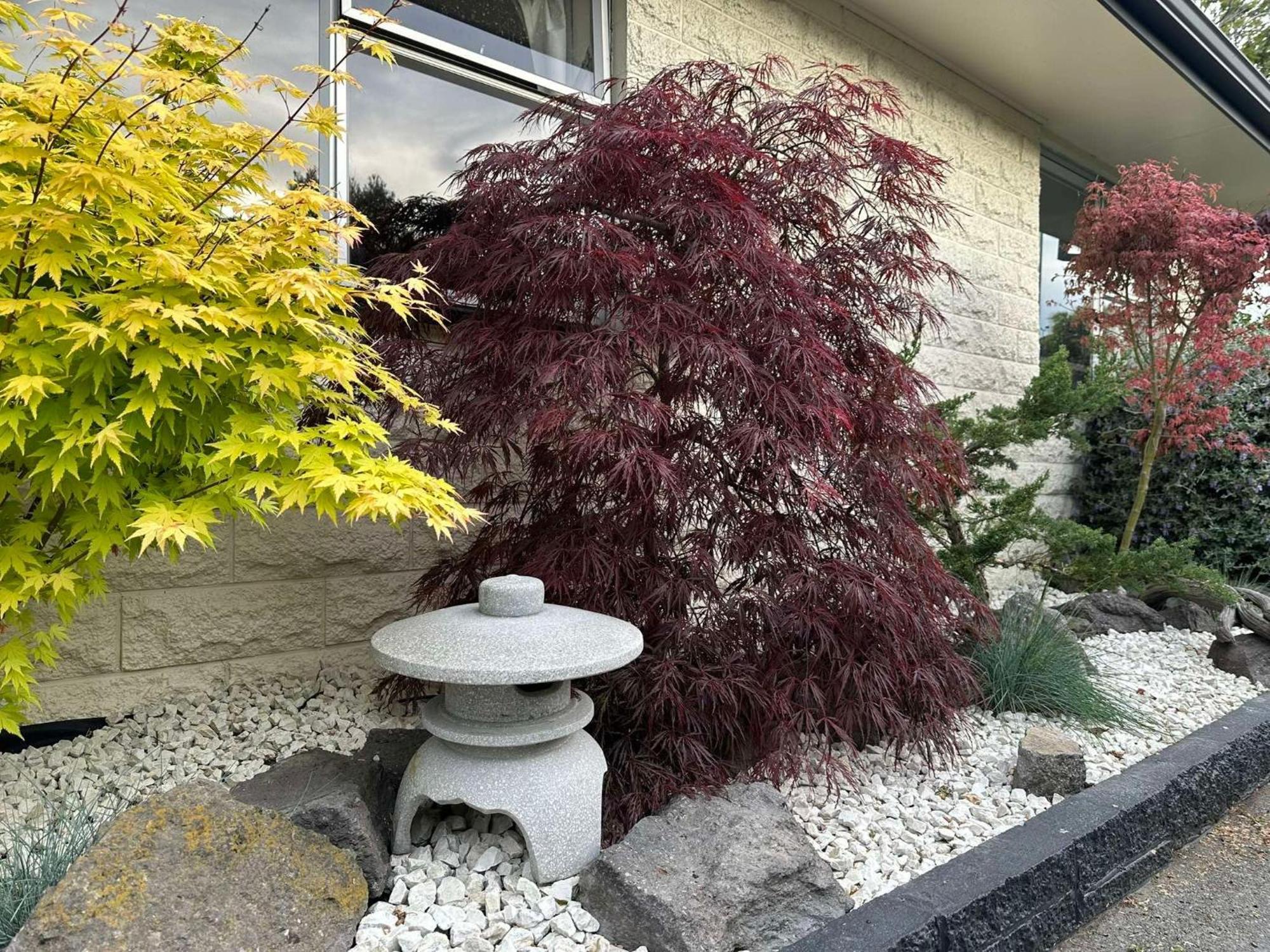 The Airport Homestay House Christchurch Exteriér fotografie
